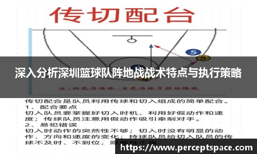 深入分析深圳篮球队阵地战战术特点与执行策略